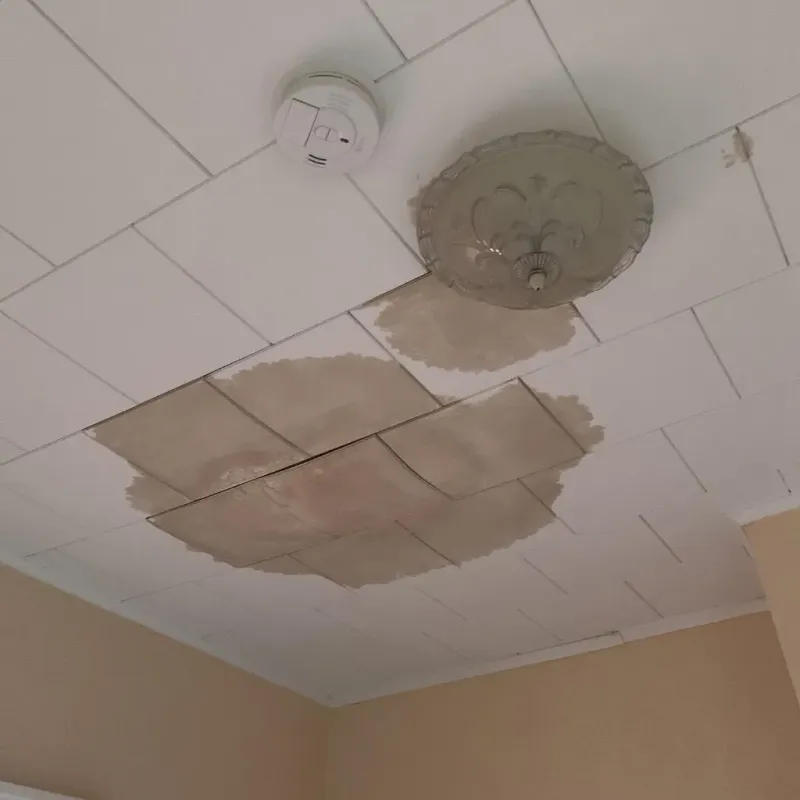 Ceiling Water Damage Repair in Cleary, MS