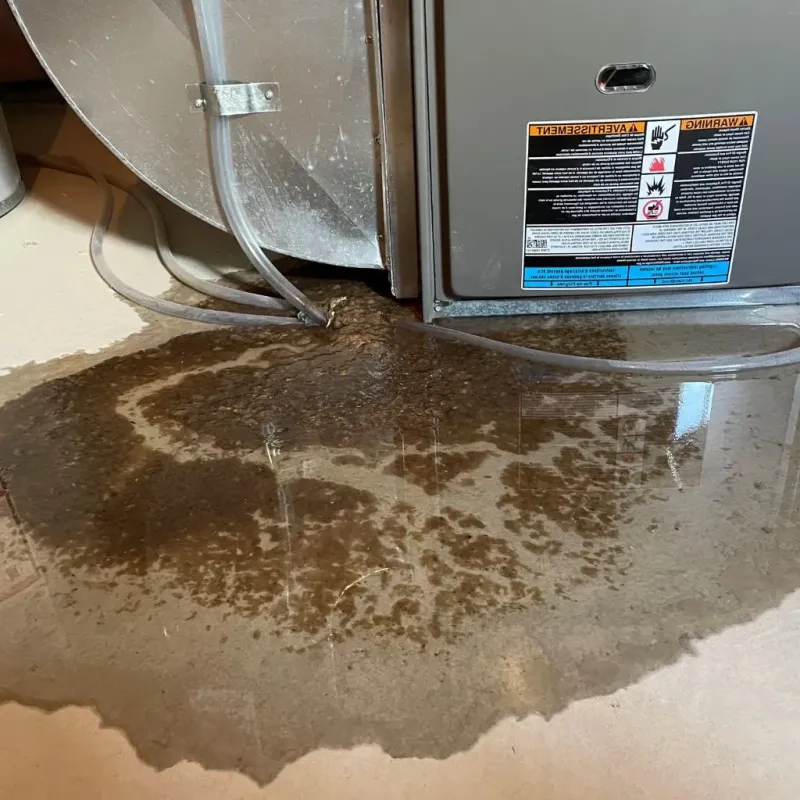 Pipe Burst and Leak Restoration in Cleary, MS