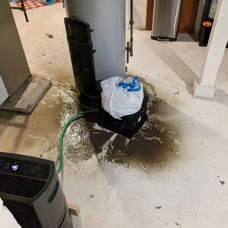 Sewage Backup Cleanup Service in Cleary, MS